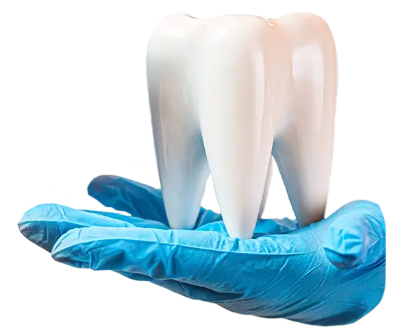 Studio dentistico Genzano - Endodonzia