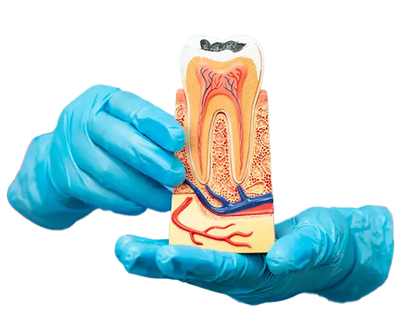 Studio dentistico Genzano - Conservativa